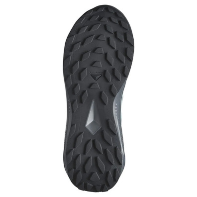 Sapatilha Salomon Alphaglide GTX W Cinza/Aquamarine