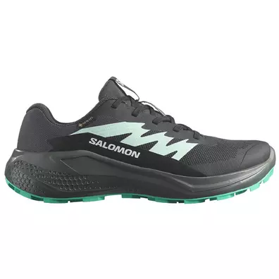 Tênis Salomon Alphaglide GTX W Preto/Verde