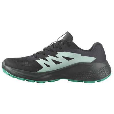 Tênis Salomon Alphaglide GTX W Preto/Verde