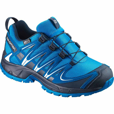 Sapatos Salomon XA PRO 3D CSWP J Azul / Preto