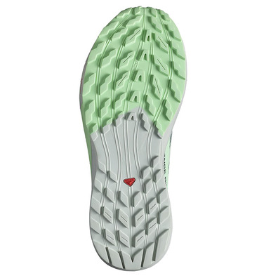 Sapato Salomon Sense Ride 5 W Verde