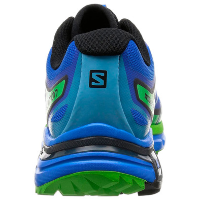Sapatos Salomon Wings Pro 2 Azul / Verde