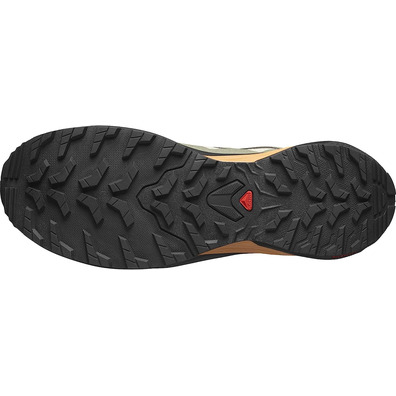 Sapato Salomon X-Adventure GTX bege/verde/preto