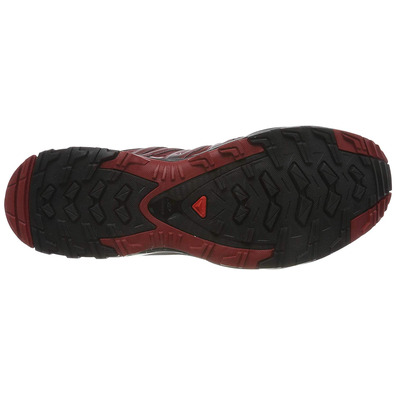 Sapatos Salomon XA Pro 3D GTX Vermelho / Preto / Cinza