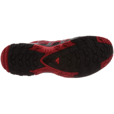 Sapatos Salomon XA PRO 3D GTX vermelho escuro / preto