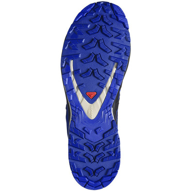 Sapato Salomon XA PRO 3D V9 GTX azul