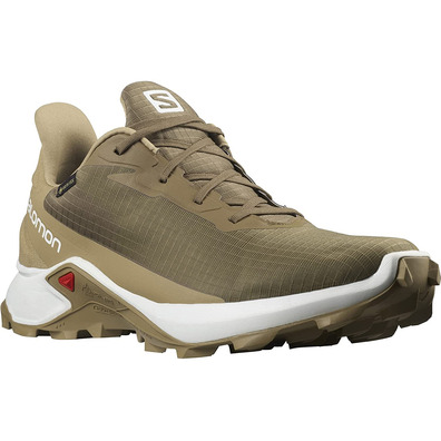 Sapatos Salomon Alphacross 3 GTX Marrom / Bege