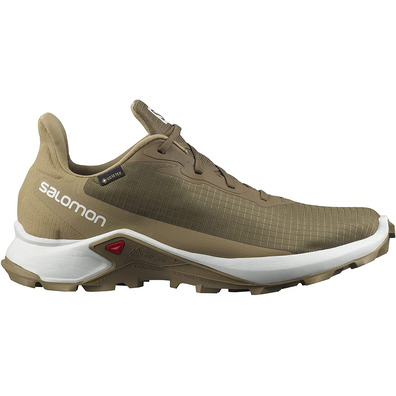 Sapatos Salomon Alphacross 3 GTX Marrom / Bege