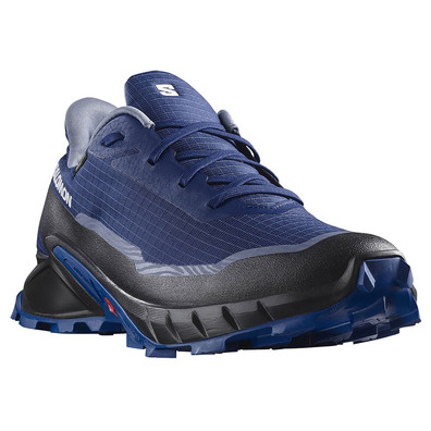 Sapatos Salomon Alphacross 5 GTX Azul