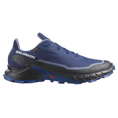 Sapatos Salomon Alphacross 5 GTX Azul