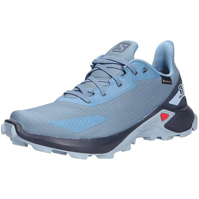 Sapatos Salomon Alphacross GTX W Azul