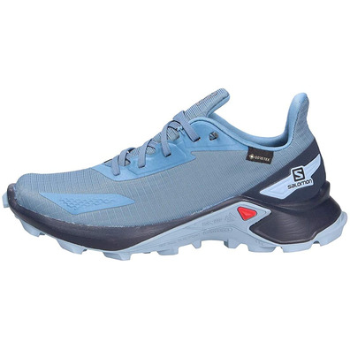 Sapatos Salomon Alphacross GTX W Azul