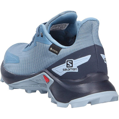 Sapatos Salomon Alphacross GTX W Azul