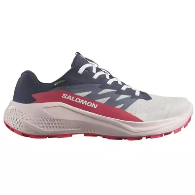 Tênis Salomon Alphaglide GTX W Cinza/Preto/Fúcsia