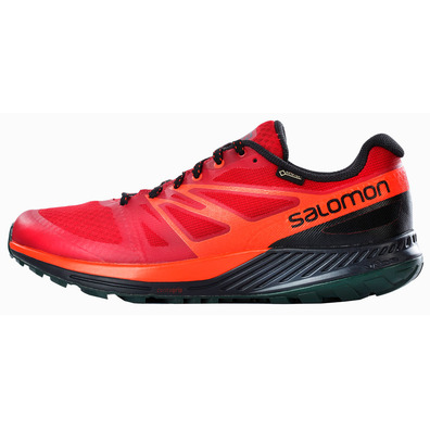 Sapatos Salomon Sense Escape GTX Marrom / Vermelho