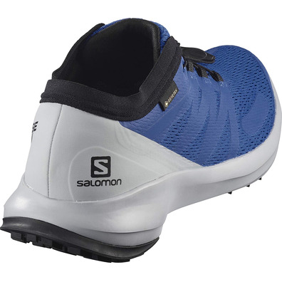Sapatos azuis Salomon Sense Flow GTX