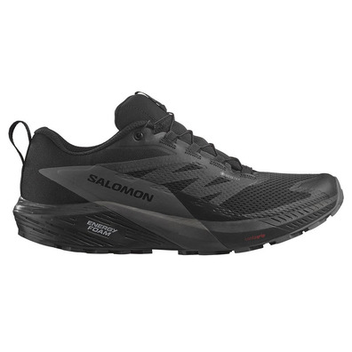 Sapatos Salomon Sense Ride 5 GTX Preto