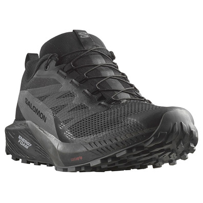 Sapatos Salomon Sense Ride 5 GTX Preto