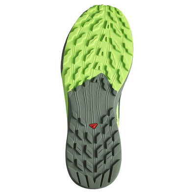 Sapatos Salomon Sense Ride 5 Preto/Verde