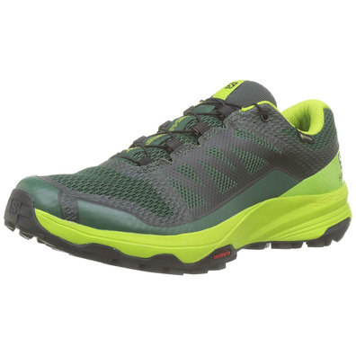 Sapatos Salomon XA Discovery GTX Verde / Lima