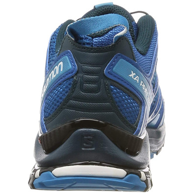 Sapatos azuis Salomon XA PRO 3D