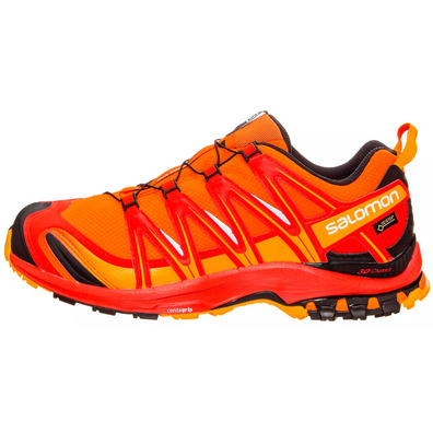 Sapatos Salomon XA PRO 3D GTX laranja