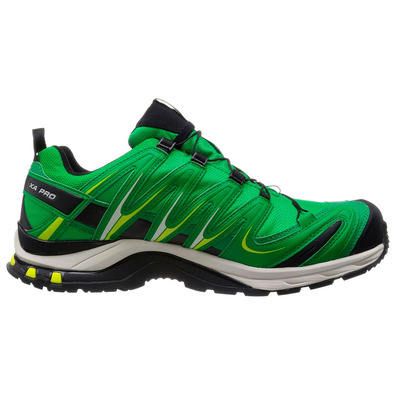 Sapatos Salomon XA PRO 3D GTX Verde / Preto
