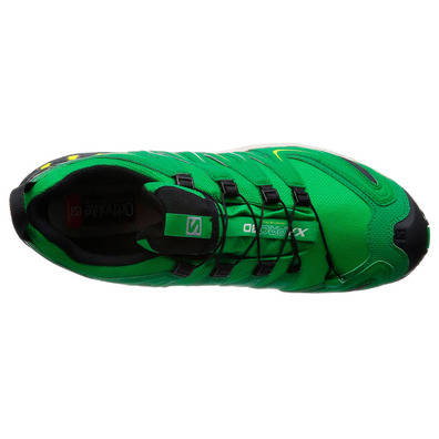 Sapatos Salomon XA PRO 3D GTX Verde / Preto