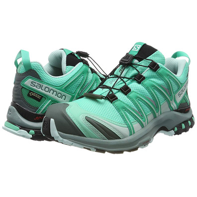 Sapatos Salomon Xa Pro 3D GTX W verde