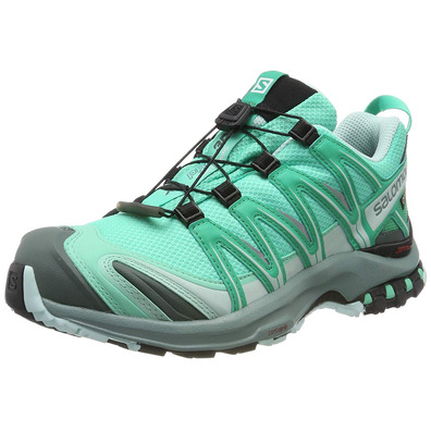 Sapatos Salomon Xa Pro 3D GTX W verde