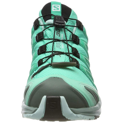 Sapatos Salomon Xa Pro 3D GTX W verde