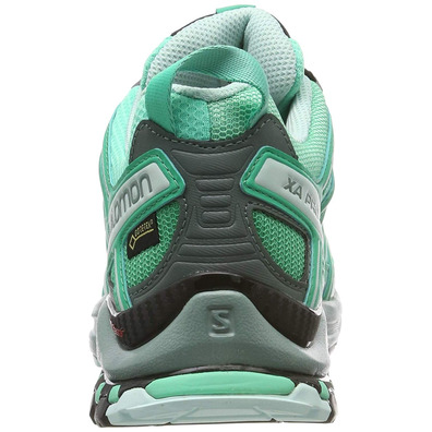 Sapatos Salomon Xa Pro 3D GTX W verde