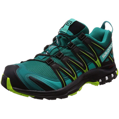 Sapatos Salomon XA PRO 3D GTX W verde garrafa / preto