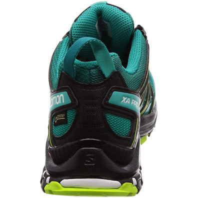 Sapatos Salomon XA PRO 3D GTX W verde garrafa / preto