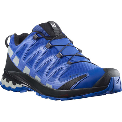 Sapatos Salomon XA PRO 3D V8 GTX azul / cinza