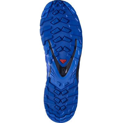 Sapatos Salomon XA PRO 3D V8 GTX azul / cinza