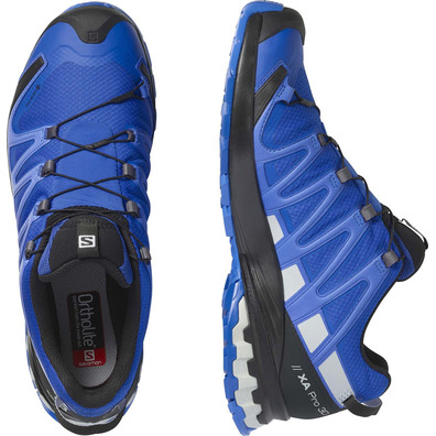 Sapatos Salomon XA PRO 3D V8 GTX azul / cinza