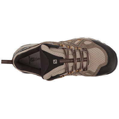 Salomon Evasion 2 Aero Shoes Marrom / Ocre