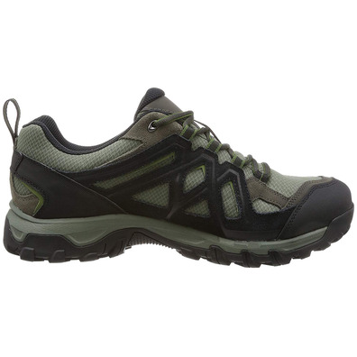 Sapatos Salomon Evasion 2 GTX cáqui / preto