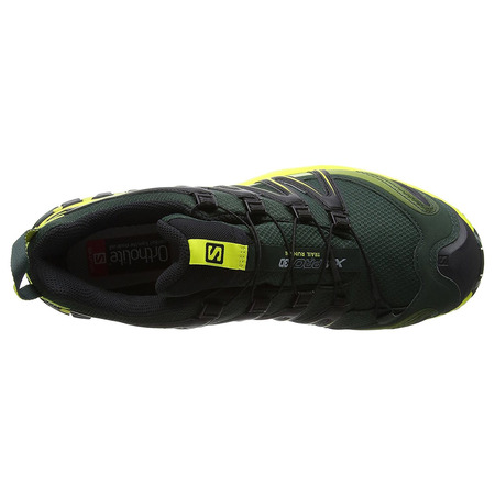 Salomon XA PRO 3D GTX calçado verde / amarelo