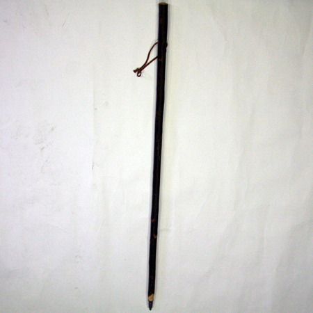 Cajado de peregrino, menino castanho corteza