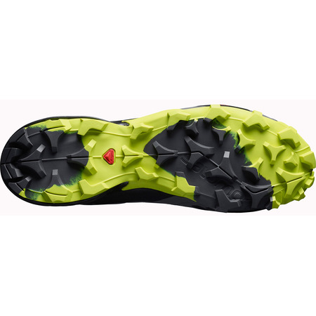 Bota Salomon Cross Hike Mid GTX Gris / Lima