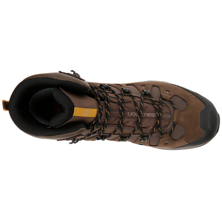 Botas Salomon Quest 4D 3 GTX Marrom