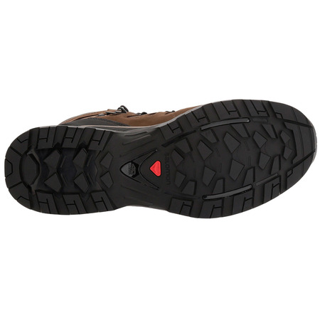 Botas Salomon Quest 4D 3 GTX Marrom