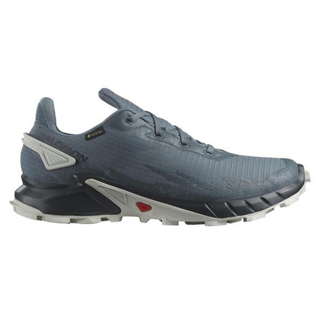 Sapato Salomon Alphacross 4 GTX cinza