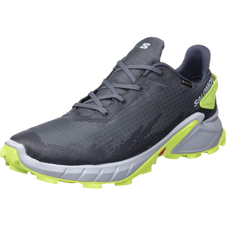 Sapato Salomon Alphacross 4 GTX cinza/limão