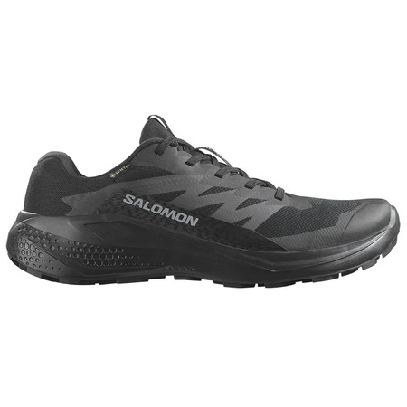 Tênis Salomon Alphaglide GTX Preto