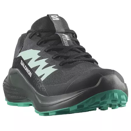Tênis Salomon Alphaglide GTX W Preto/Verde