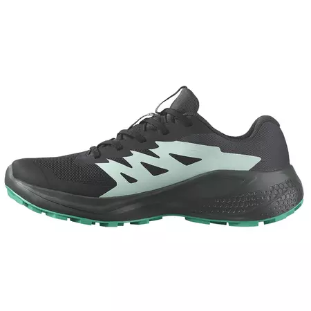 Tênis Salomon Alphaglide GTX W Preto/Verde