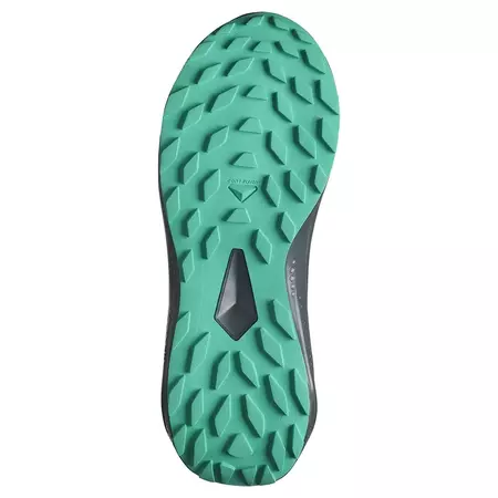 Tênis Salomon Alphaglide GTX W Preto/Verde